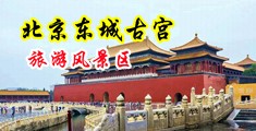 大鸡巴操逼视频吃精大秀中国北京-东城古宫旅游风景区